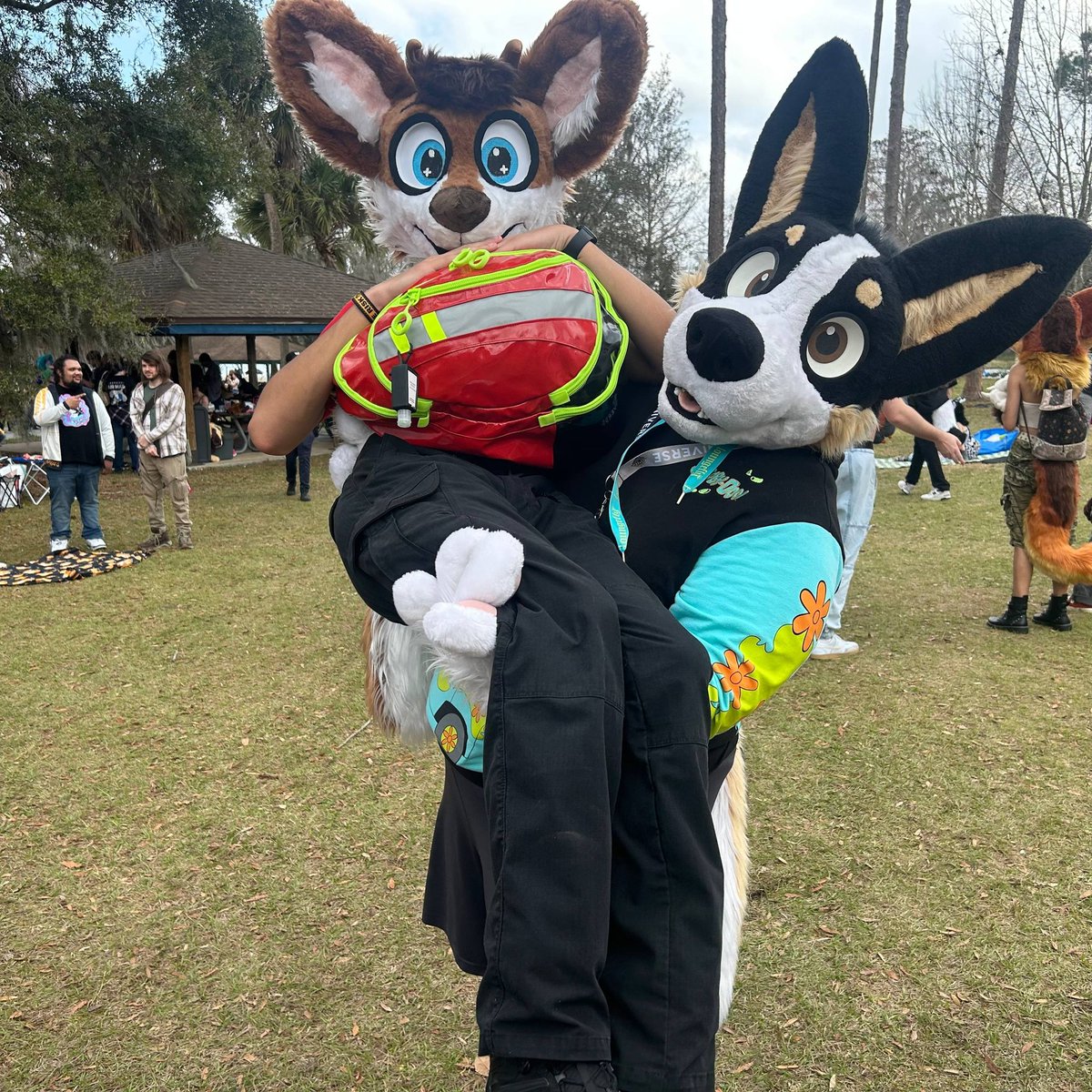 Astro Beato, El Perro Leal 🔜 FWA 2026 tweet media