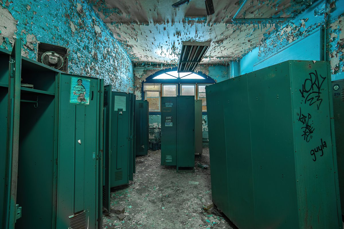 Mr. P. Explores tweet media