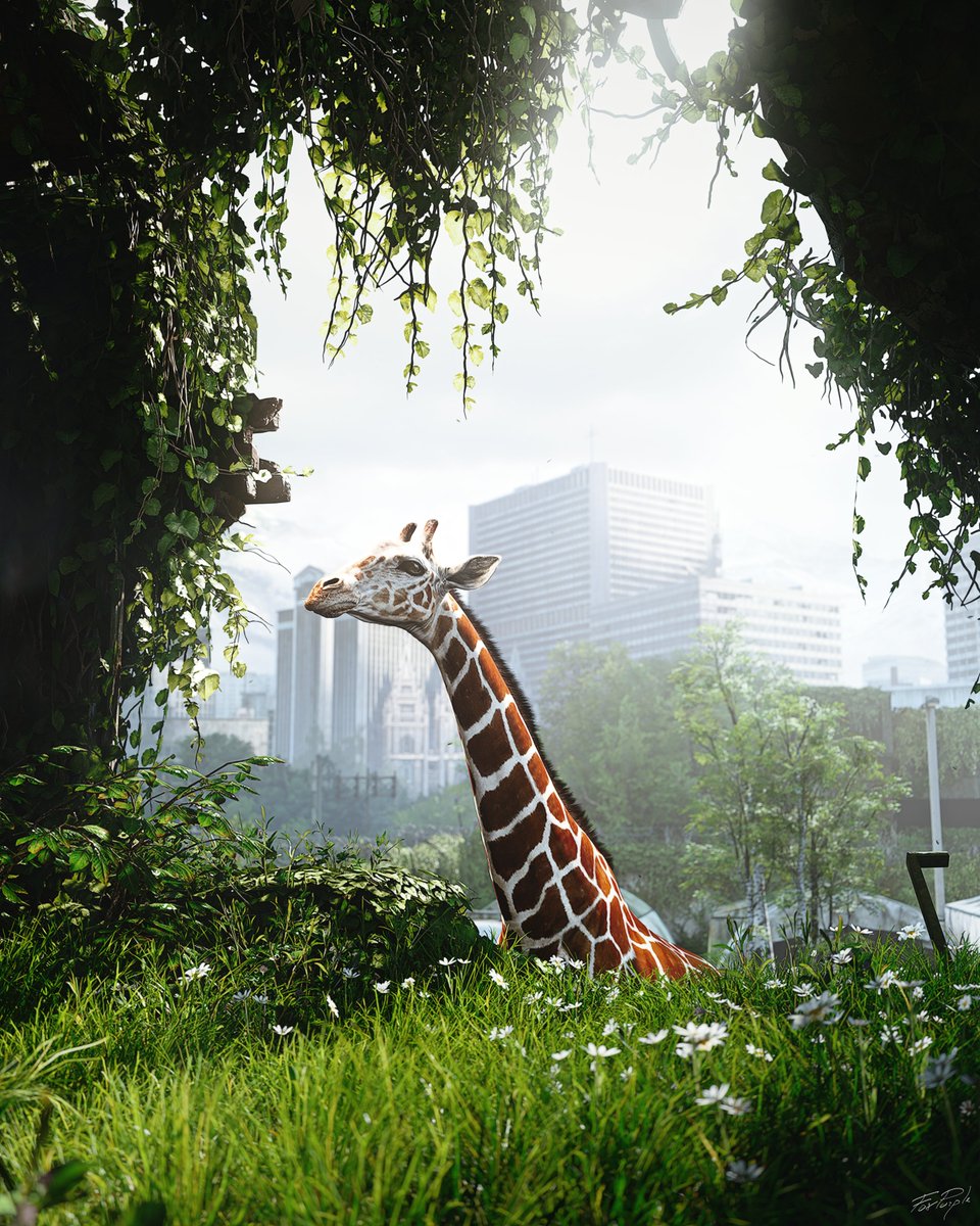 FoxPurple  tweet media