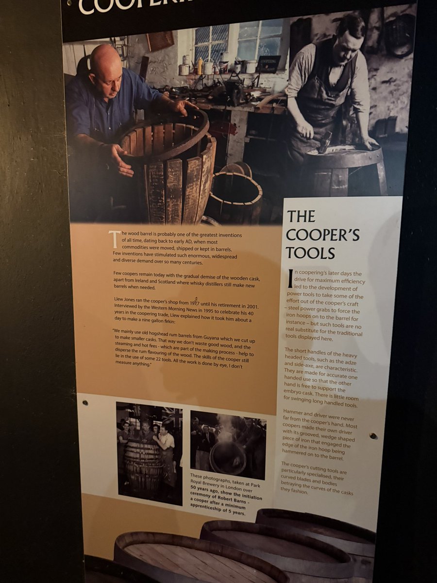 Steven Trew tweet media