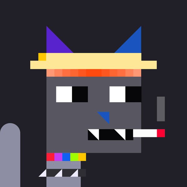 Natcats Bot tweet media