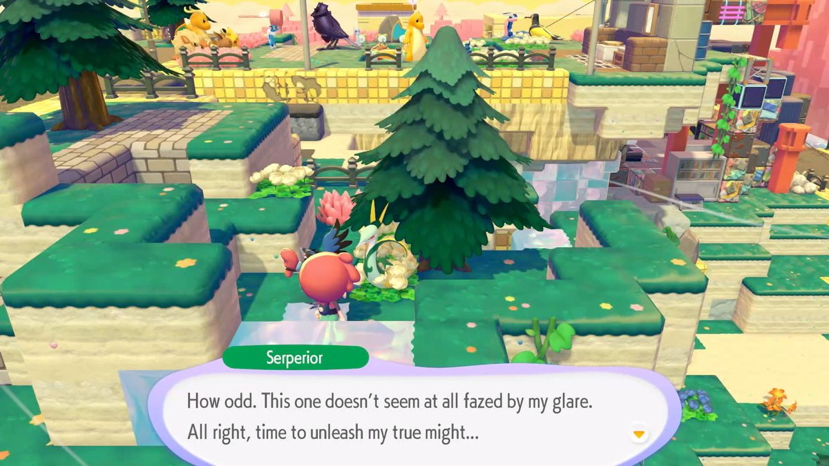 Kallie Plagge tweet media