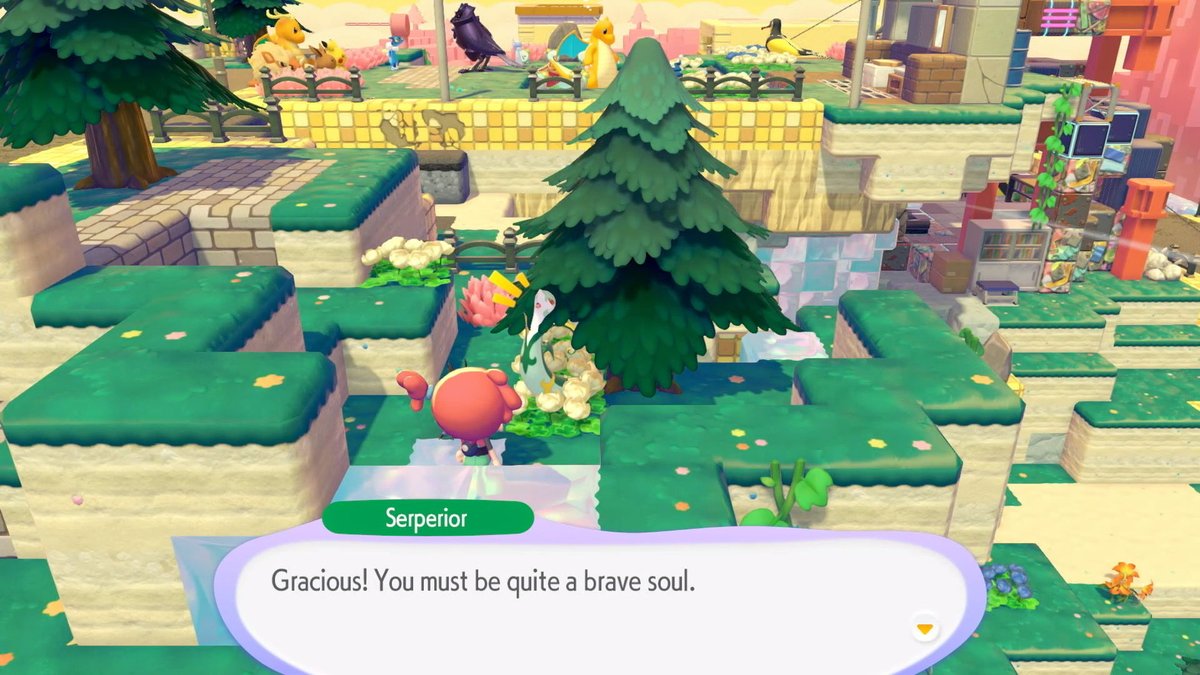 Kallie Plagge tweet media