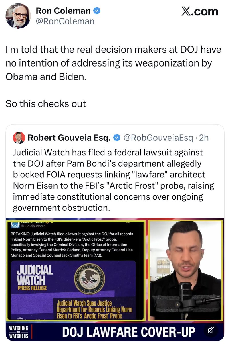 Svetlana Lokhova tweet media