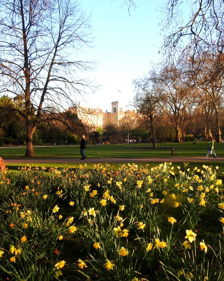 Alexander Seale tweet media