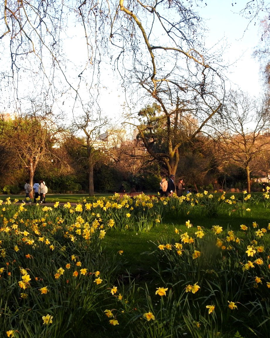 Alexander Seale tweet media