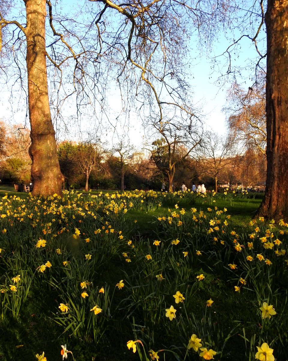 Alexander Seale tweet media