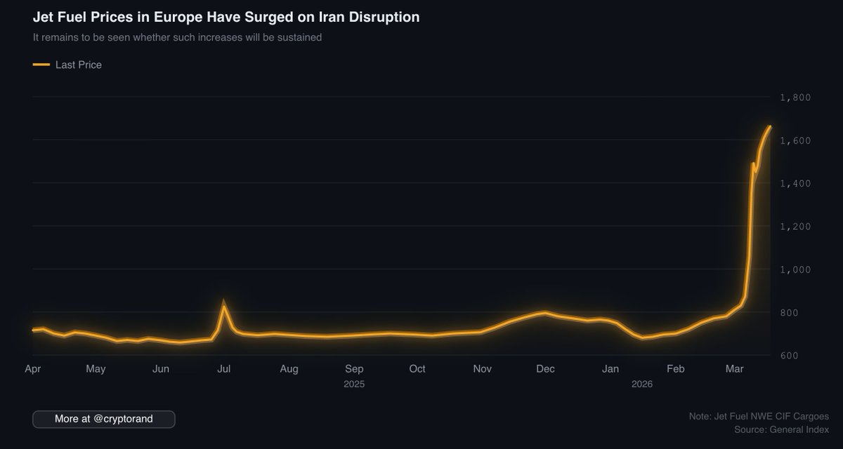 Deep Whale tweet media