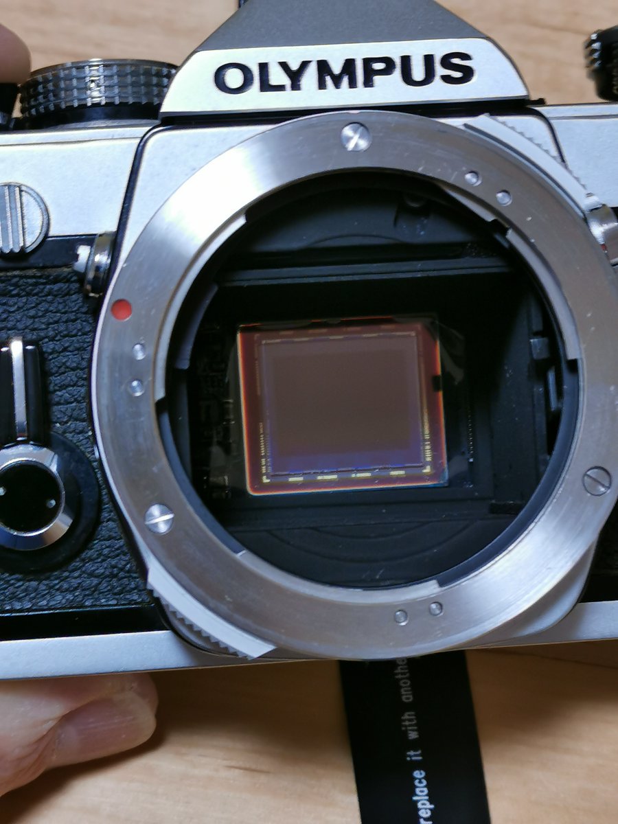 hiroseki0716's tweet image. フィルムカメラをデジタルに換えるI'm Back Film
色々なフィルムカメラに装着できます。
近々APS版の改良型が発売されるそうです。
kickstarter.com/projects/samel…

昨年も投稿しましたが写真はOLYMPUS　M-1に取り付けた状態。
楽しいガジェットですよ。

#IMBACK #IMBAKFILM