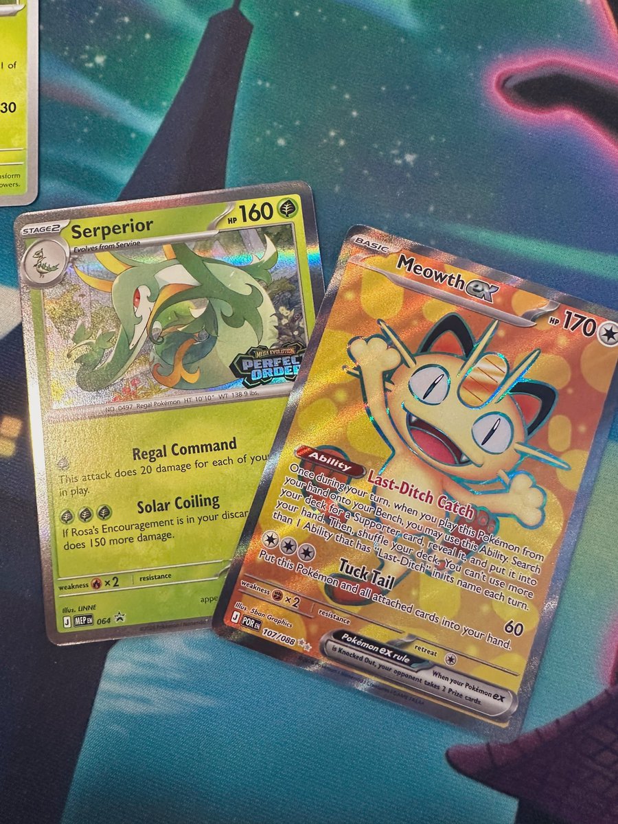 The_Makeup_Wolf tweet media