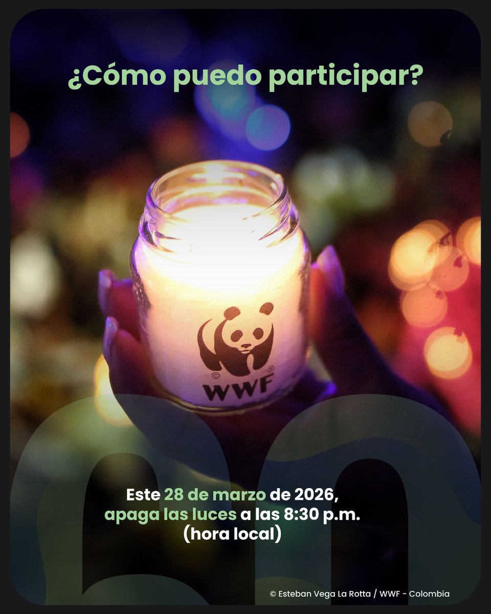 WWF Latinoamérica tweet media