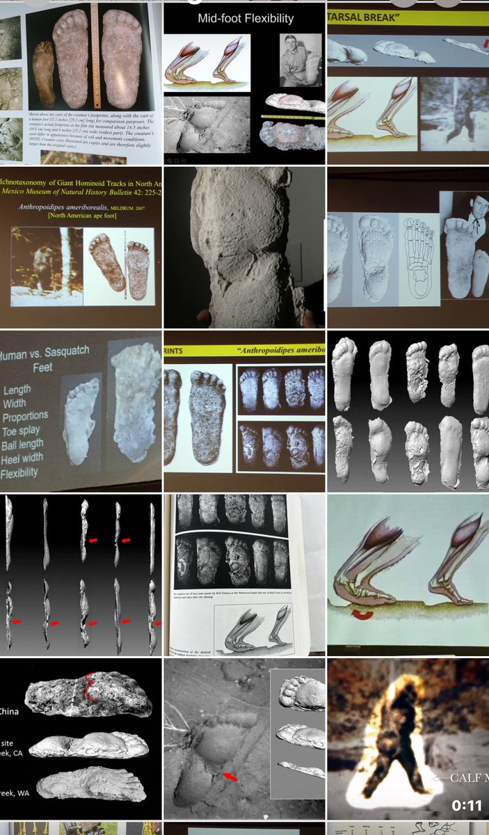 Adam Kolkowski tweet media