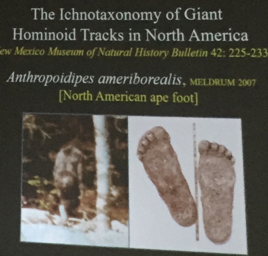 Adam Kolkowski tweet media