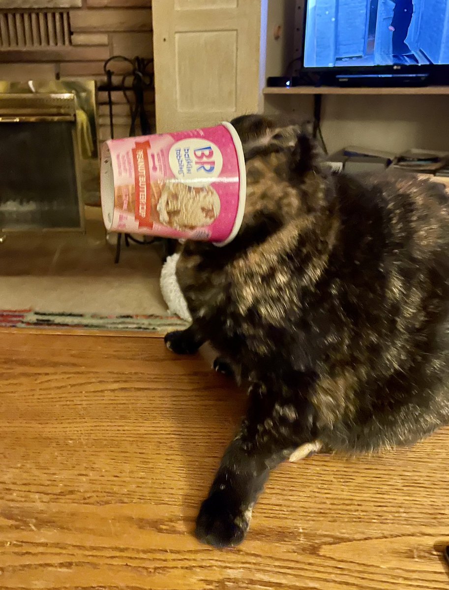 The Snoopervisor 2.0 /Moses (Wilma🌈) tweet media