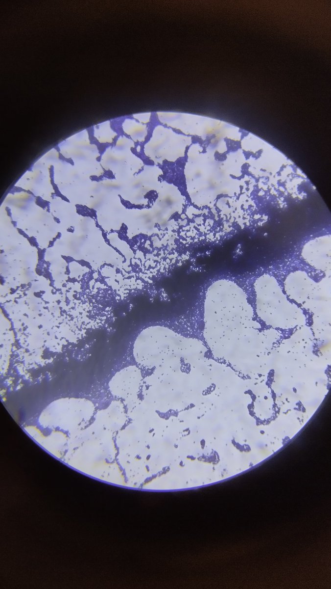 Acervo Heeseung 🦌 tweet media