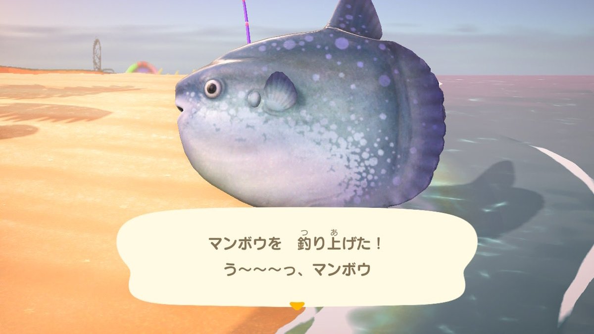 なっしー島の住人 tweet media