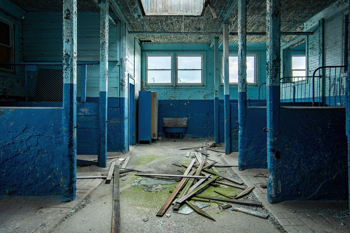 Mr. P. Explores tweet media