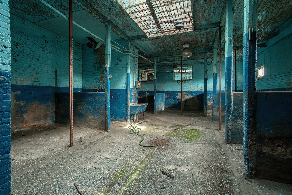 Mr. P. Explores tweet media