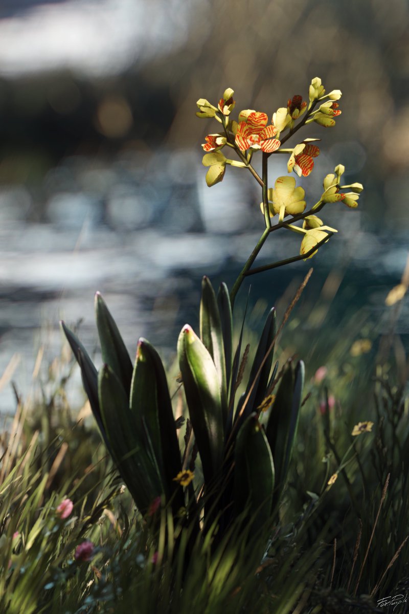 FoxPurple  tweet media