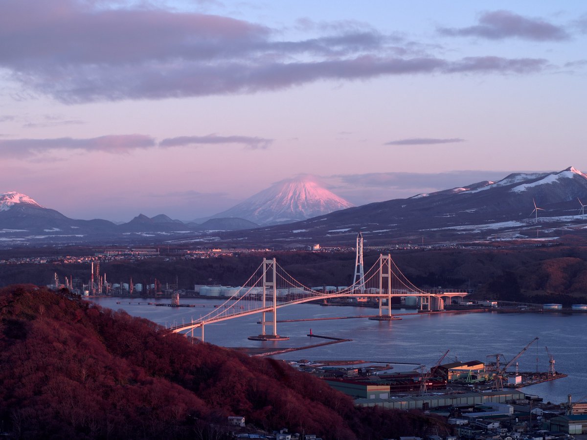 hiroseki0716's tweet image. フィルムカメラをデジタルに換えるI'm Back Film
色々なフィルムカメラに装着できます。
近々APS版の改良型が発売されるそうです。
kickstarter.com/projects/samel…

昨年も投稿しましたが写真はOLYMPUS　M-1に取り付けた状態。
楽しいガジェットですよ。

#IMBACK #IMBAKFILM