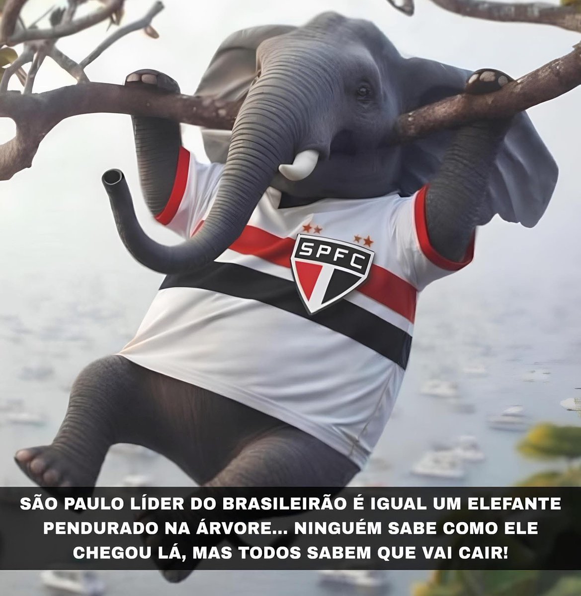 BRASILEIRÃO DA DEPRESSÃO tweet media