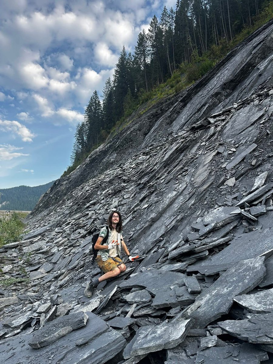 BrennanThePaleoDude tweet media