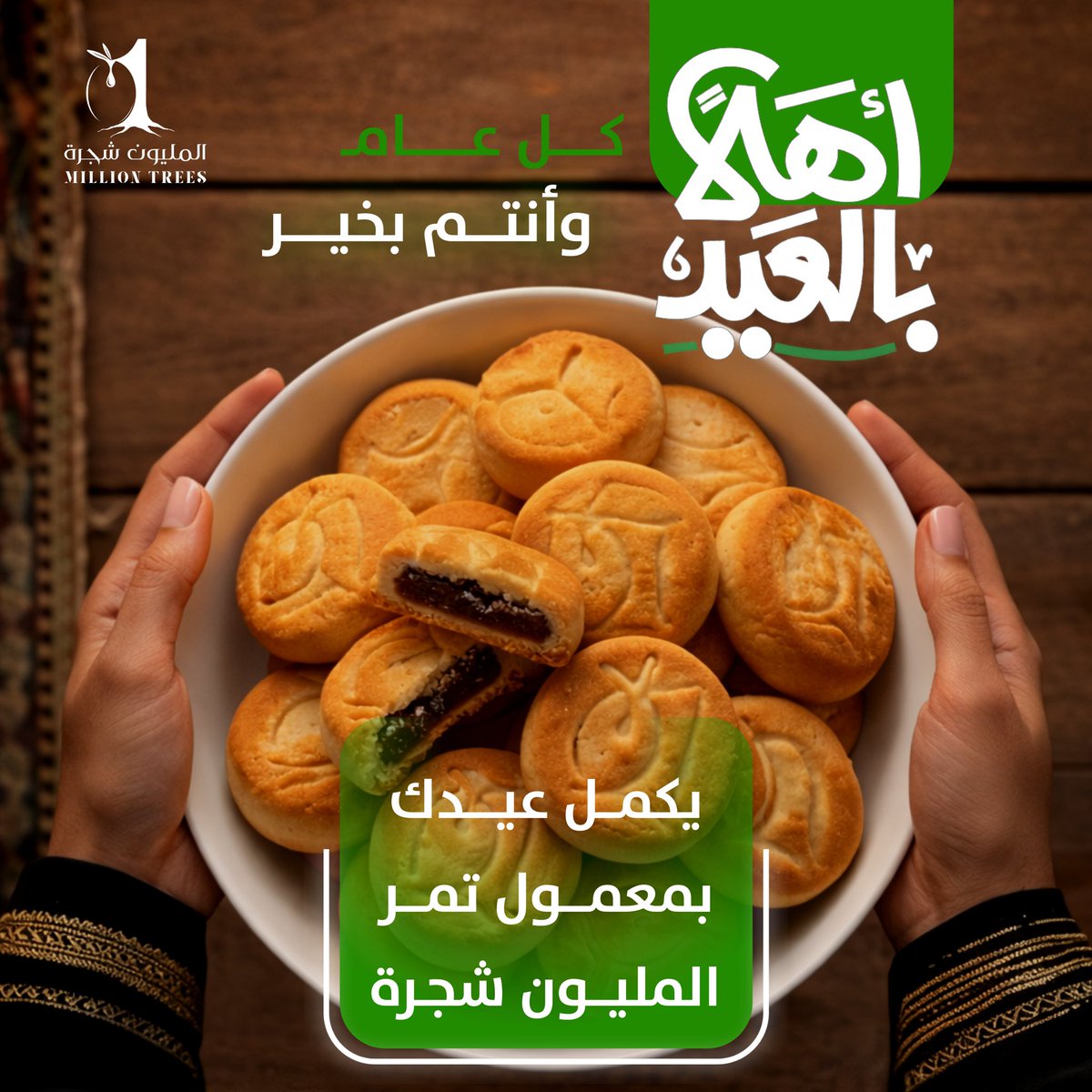 زيت زيتون المليون شجرة tweet media