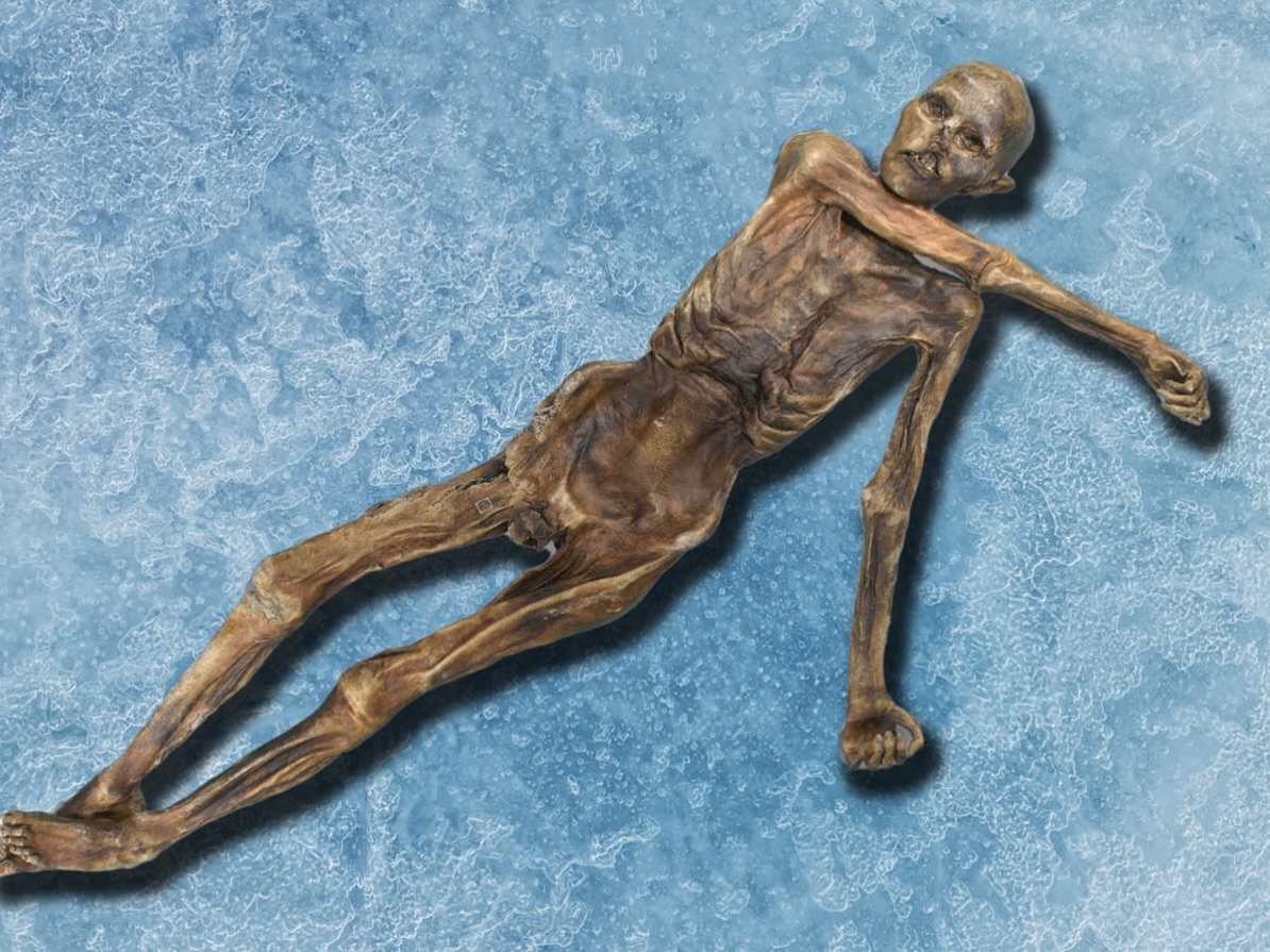 Eric Hill tweet media