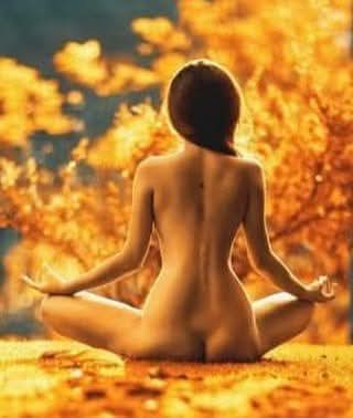 Metropolitan tweet media