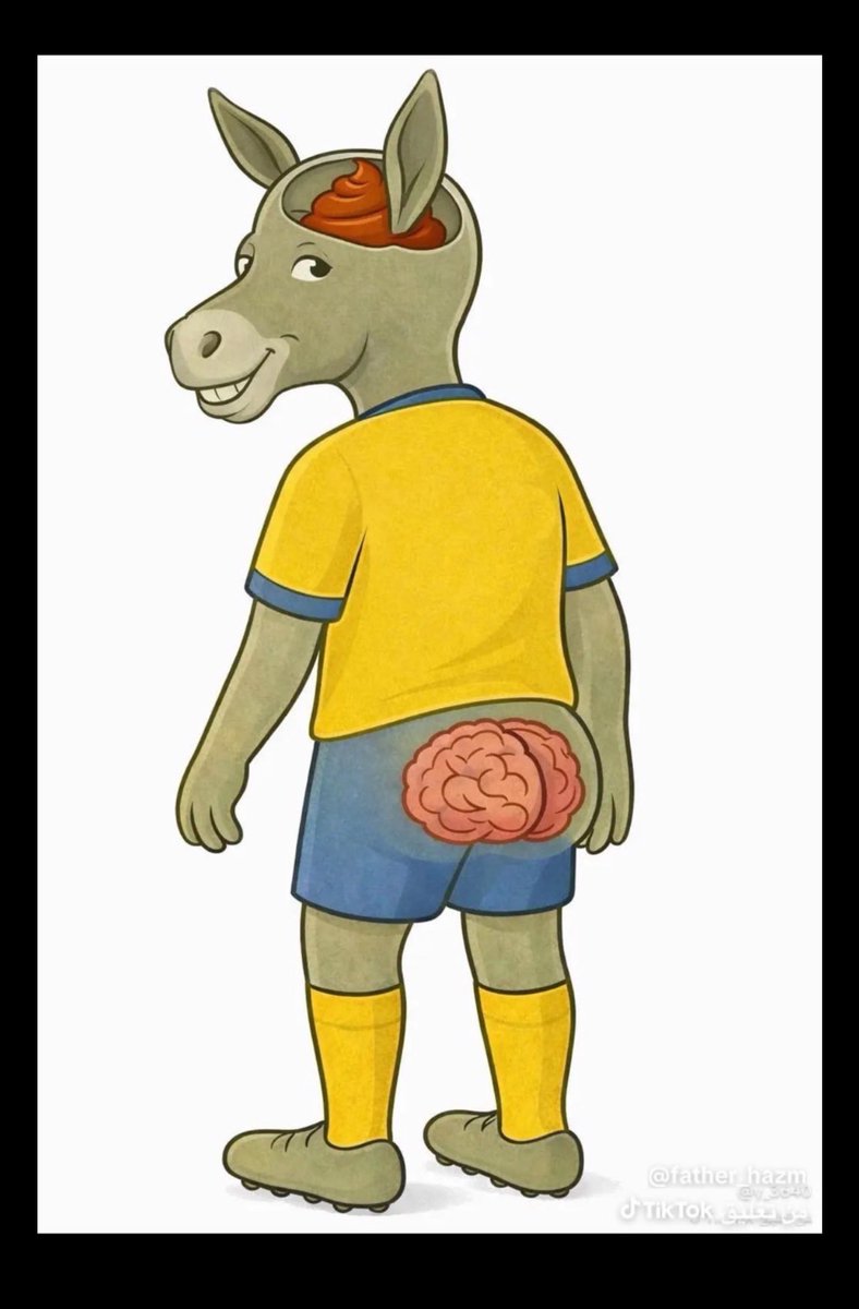 Majed Hfc 64 tweet media