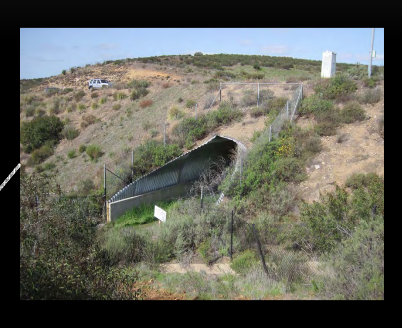 Hunter Weiss tweet media