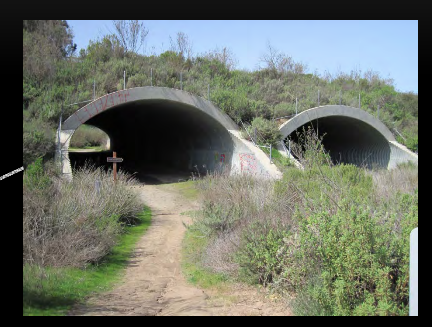 Hunter Weiss tweet media