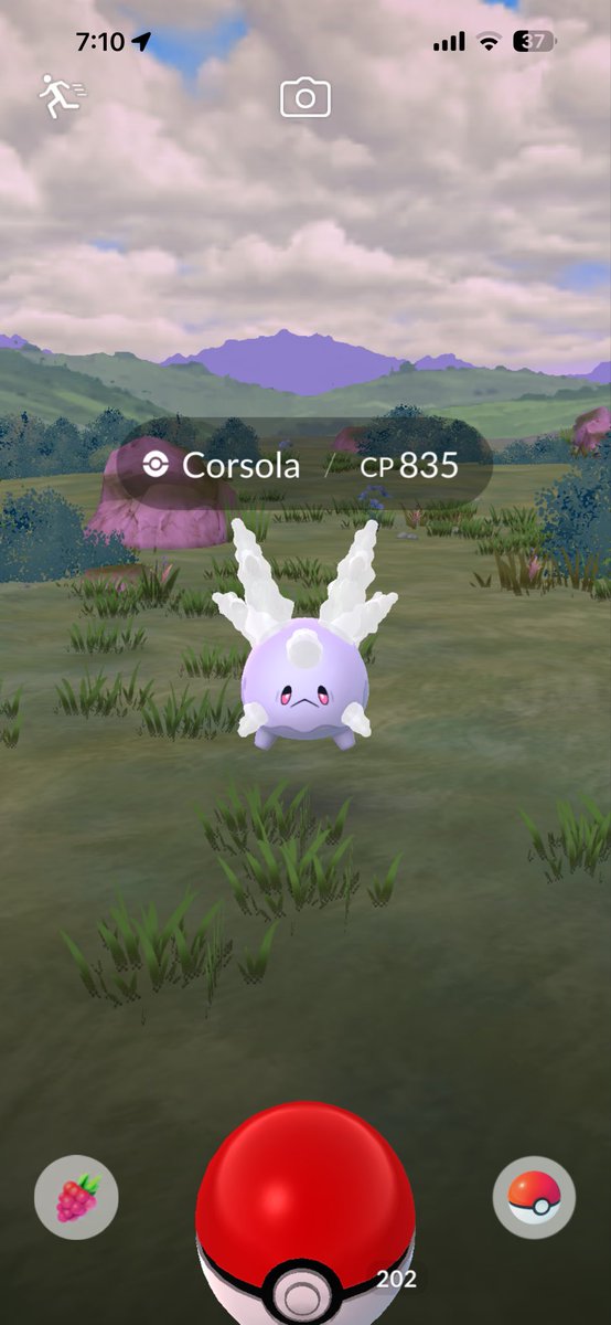 CustomApproach tweet media