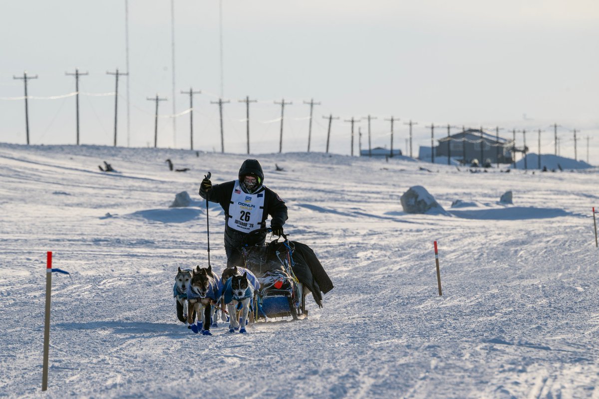 ADN Iditarod tweet media