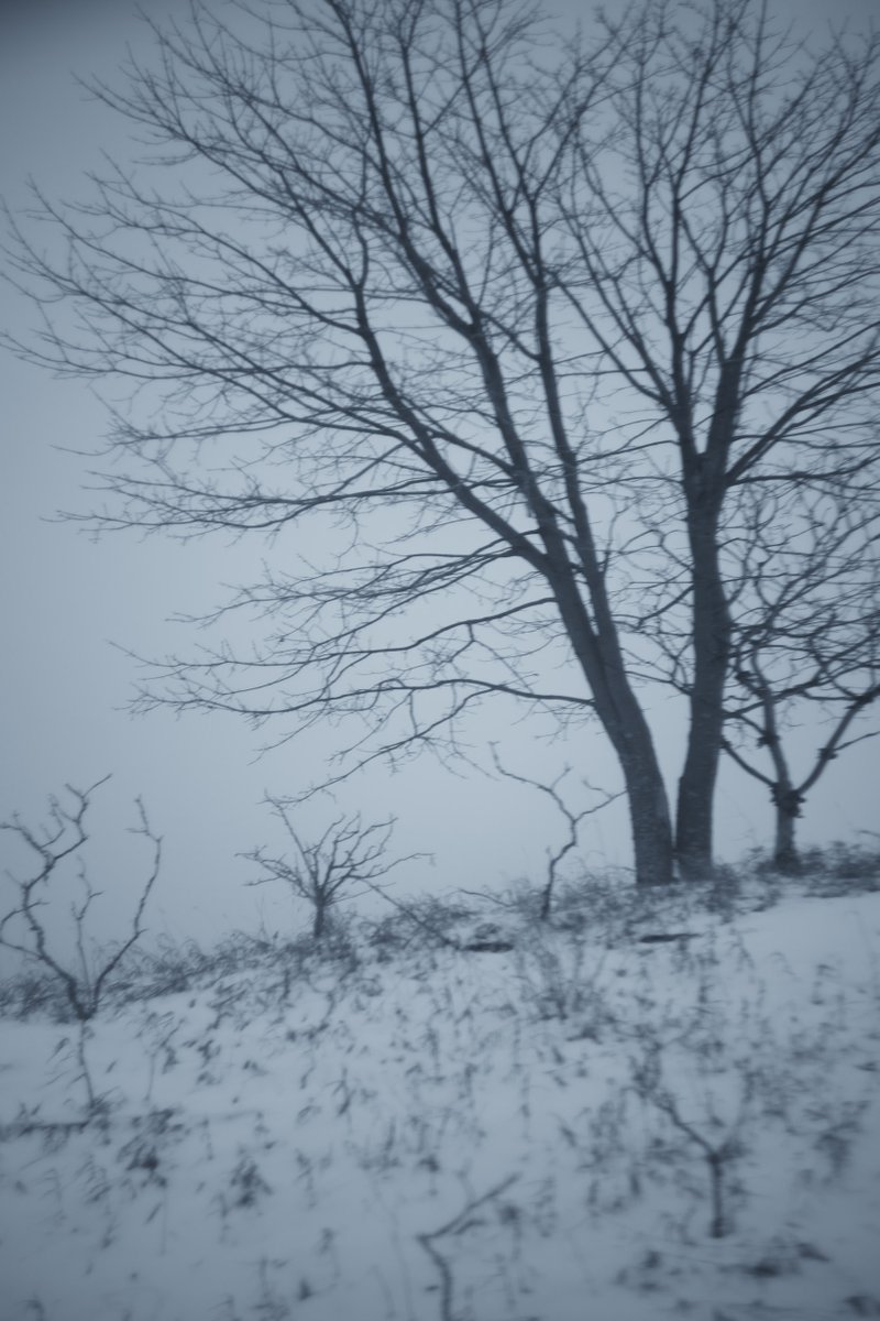 Loki Highlock tweet media