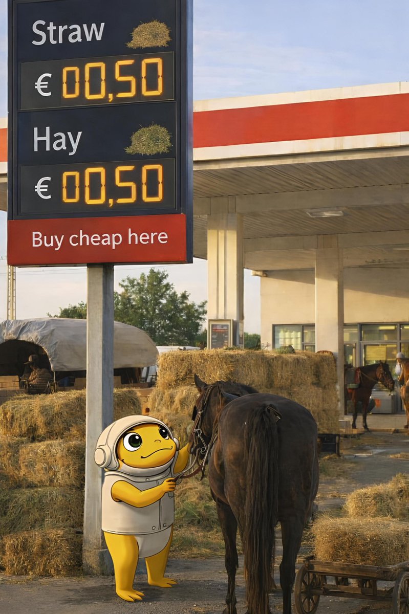 Turbo 🐸 tweet media