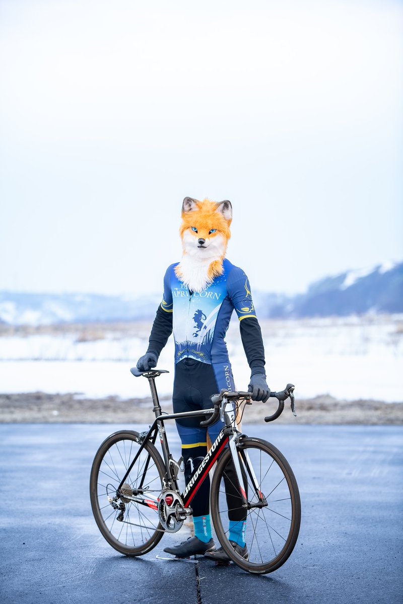 しゃとる（雷鳥の人）🦃🦊 tweet media