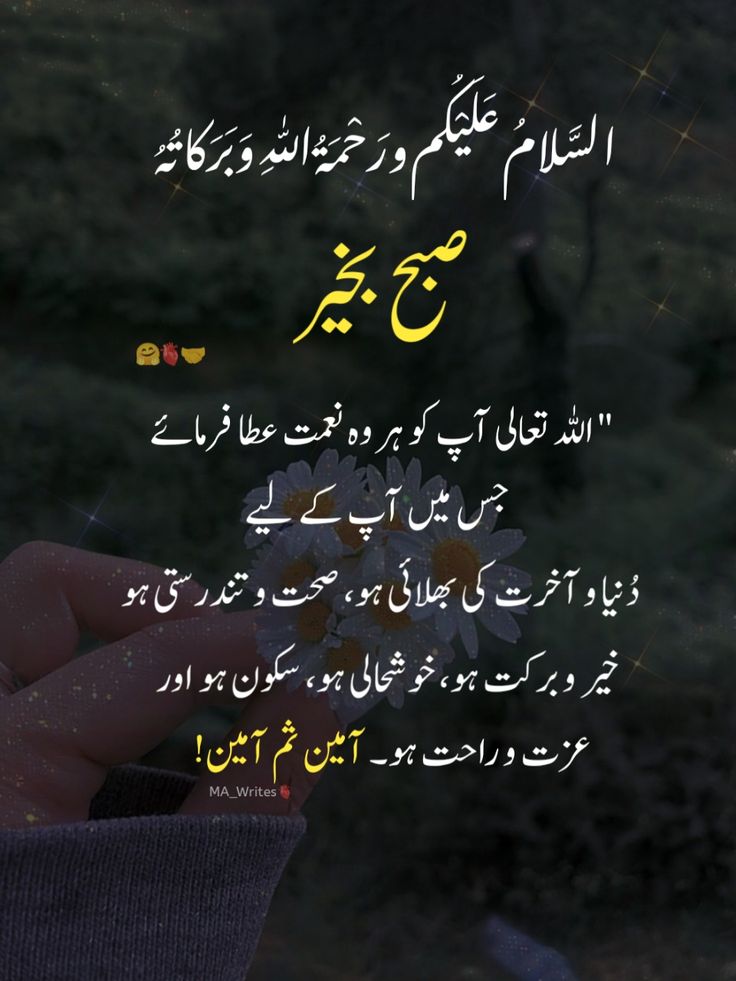 🩷⃝M̺͆a̺͆h̺͆j̺͆a̺͆b̺͆e̺͆e̺͆n̺͆💤—̳͟͞͞🖤 tweet media