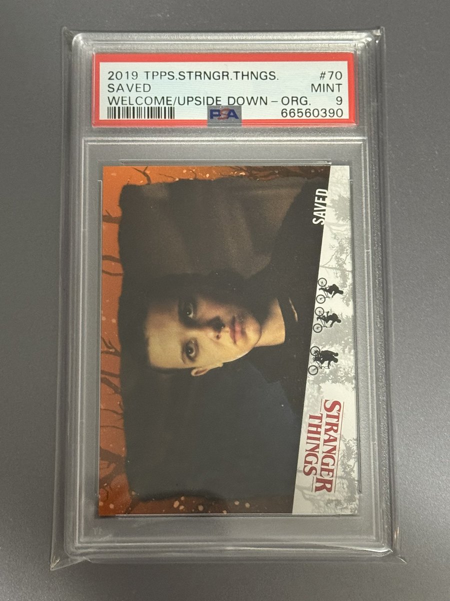 Moto Paladin tweet media