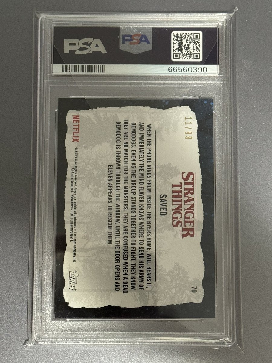 Moto Paladin tweet media