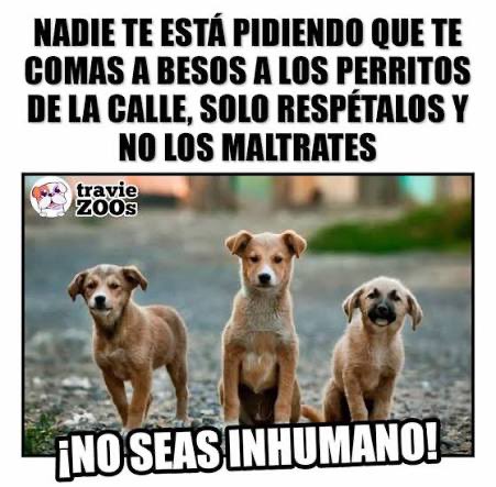 CamaraBalam's tweet photo. Sin tanto rollo.🤨 https://t.co/f2BqsAsiVZ