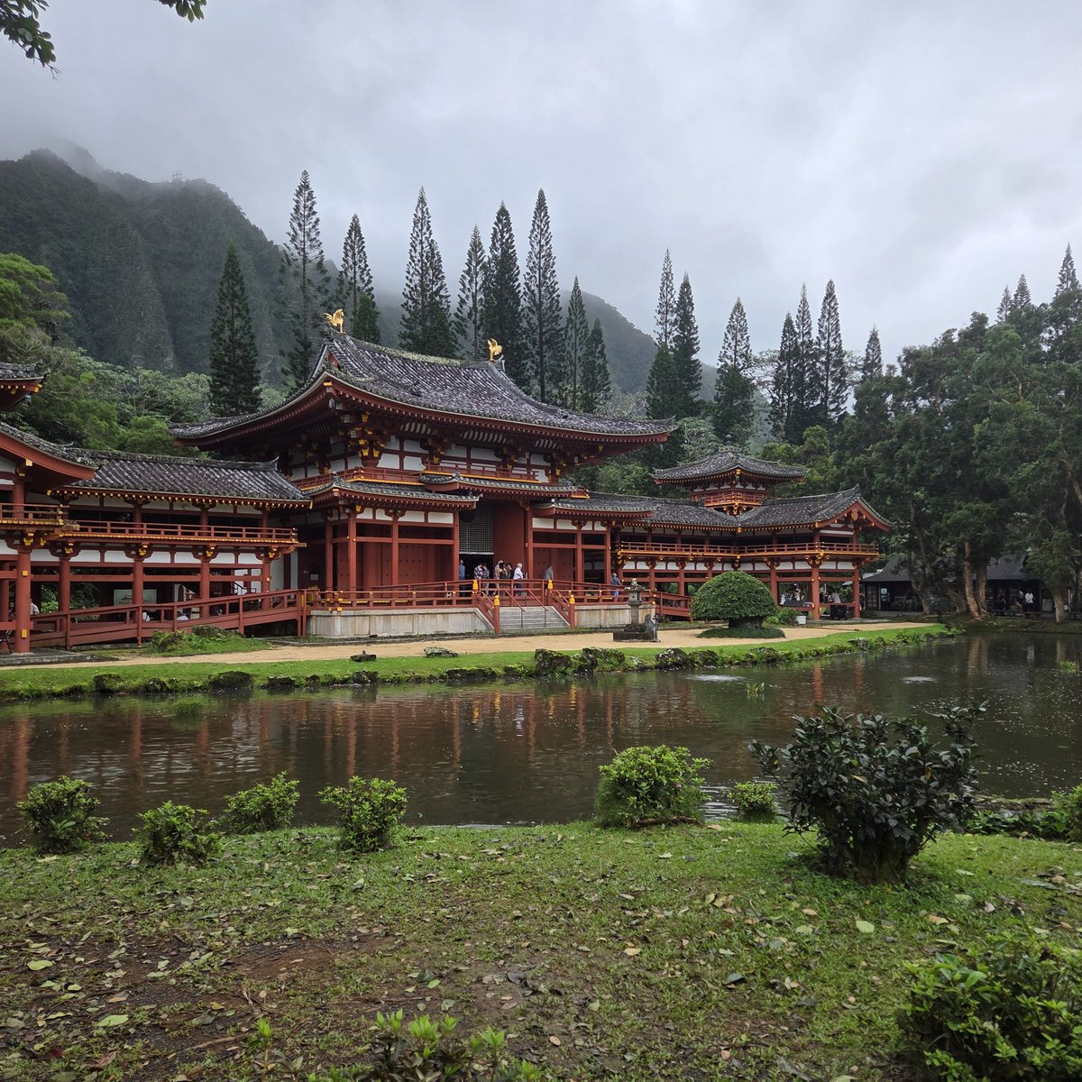 Cookie 🩵🍪 tweet media