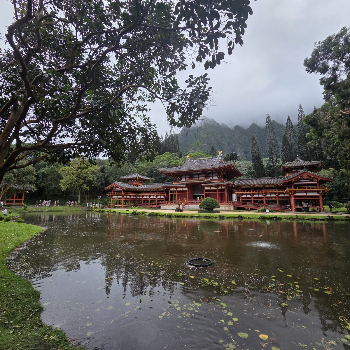 Cookie 🩵🍪 tweet media