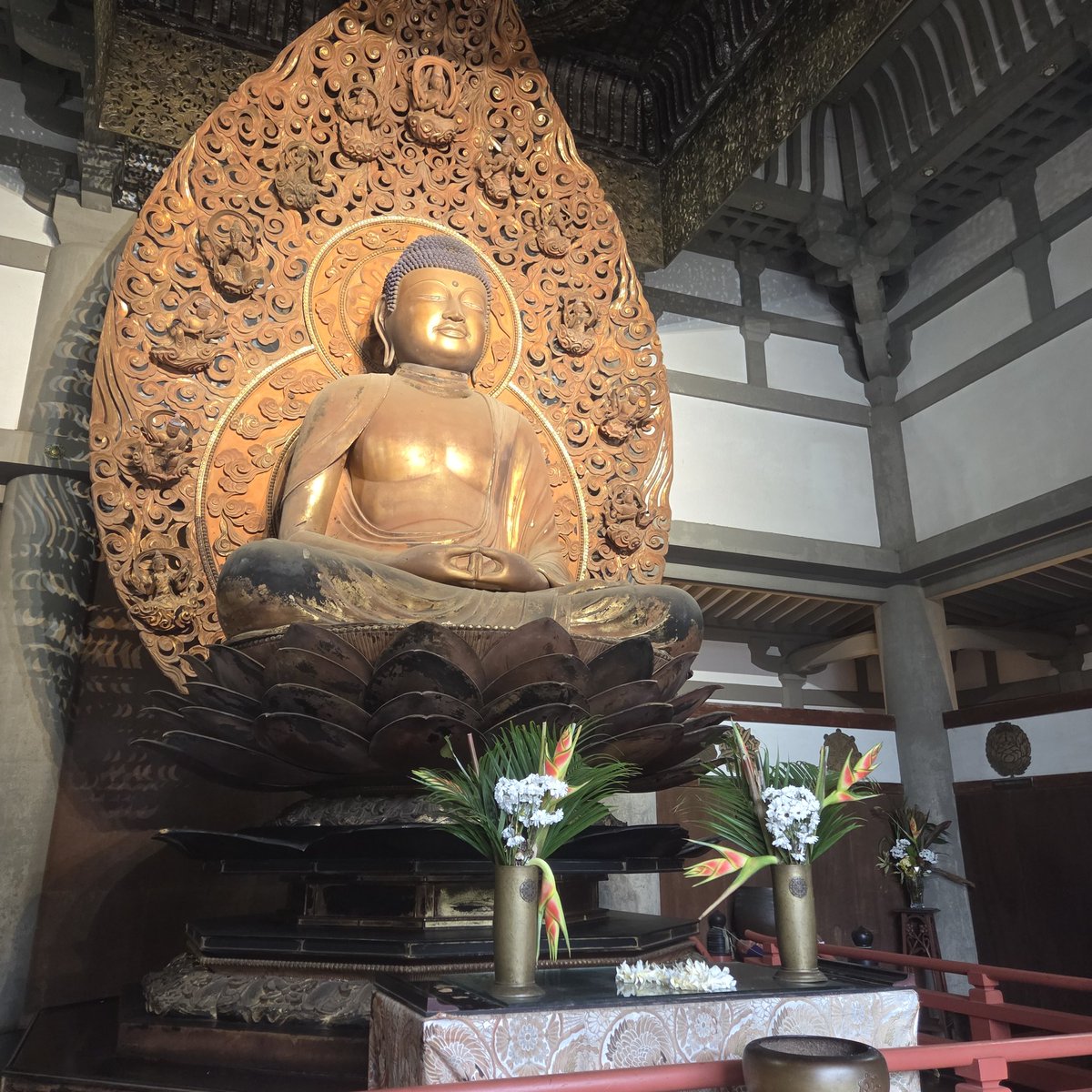 Cookie 🩵🍪 tweet media