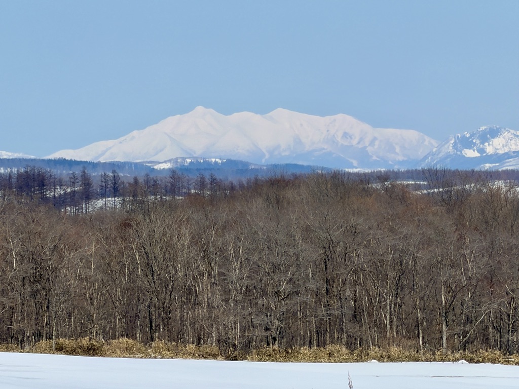 herokey turkay tweet media