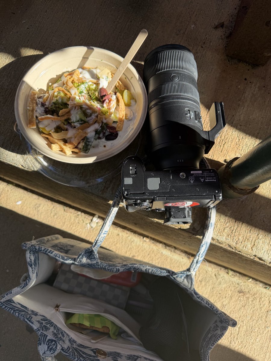 Chelsea Bradley tweet media