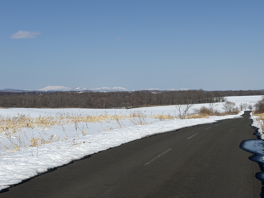 herokey turkay tweet media