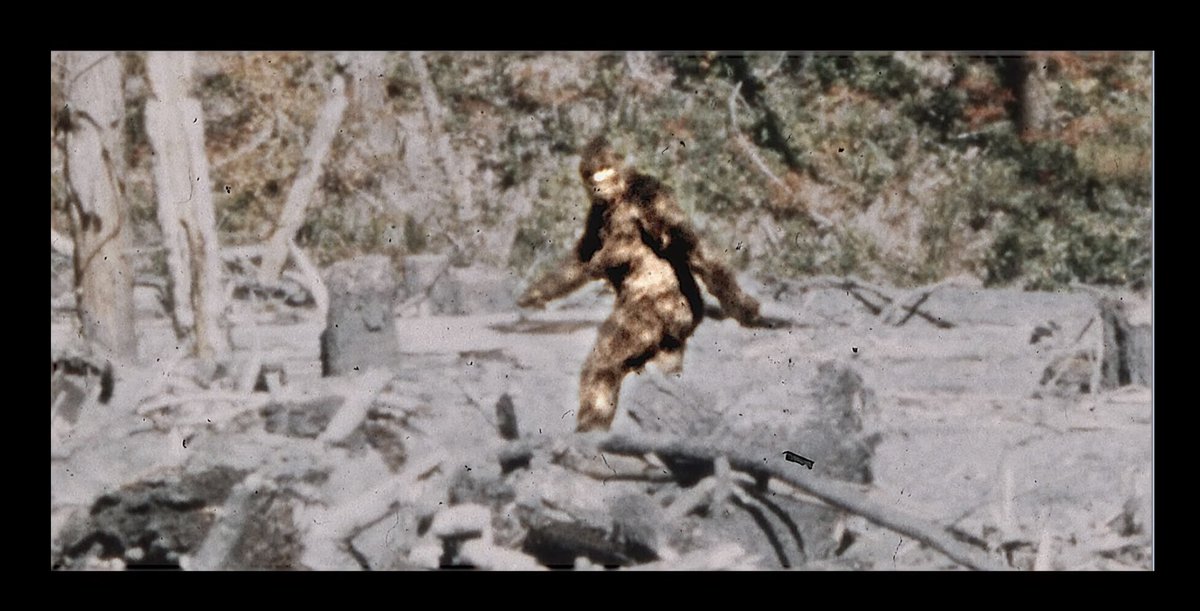 Adam Kolkowski tweet media