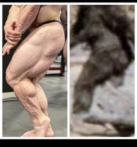 Adam Kolkowski tweet media