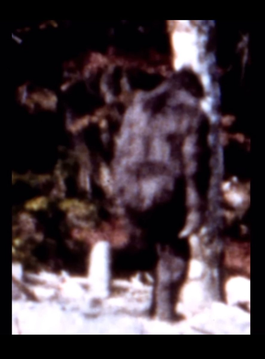 Adam Kolkowski tweet media